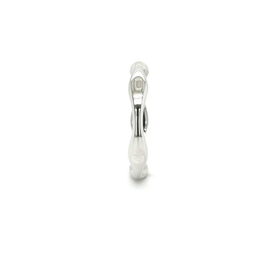 SL91321A1 Anillo de Plata_1.jpg