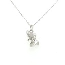 26270FNSWSH1 Collar de Plata Rodinada_1.jpg