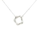 26936FNSWSH1 Collar de Plata Rodinada_2.jpg