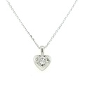 28171FNSWSH2 Collar de Plata Rodinada_1.jpg