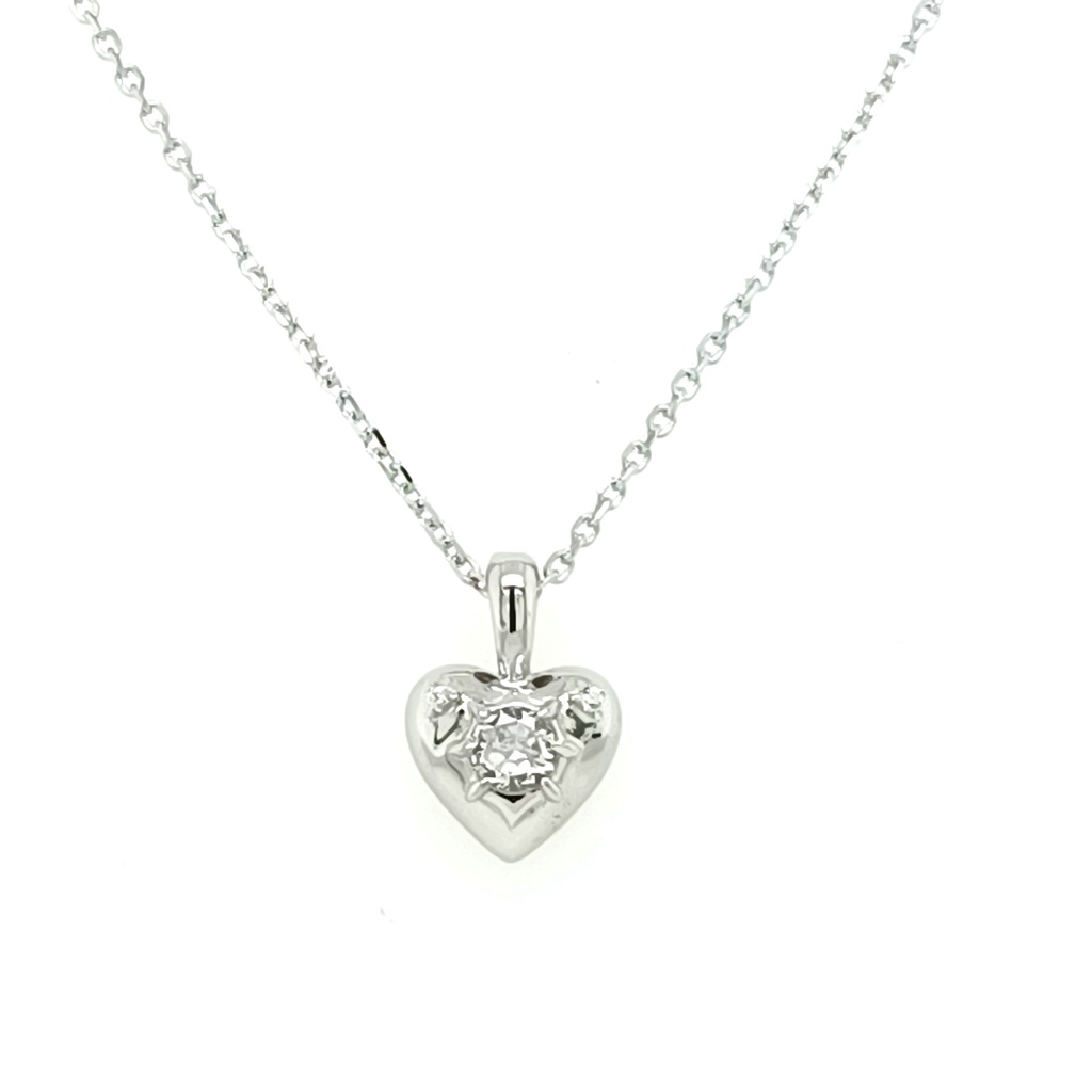 28171FNSWSH2 Collar de Plata Rodinada_1.jpg
