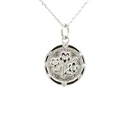 29069XNSWSH1 Collar de Plata Rodinada_1.jpg