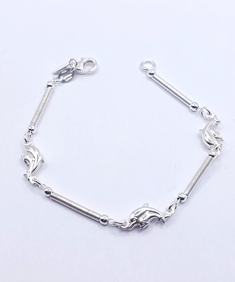 Pulsera Plata BR4623  