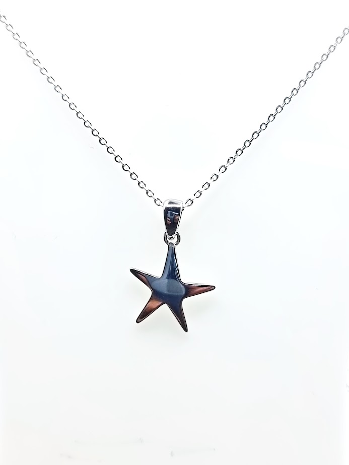 11995FNS1 Collar Plata Rodio Estrella