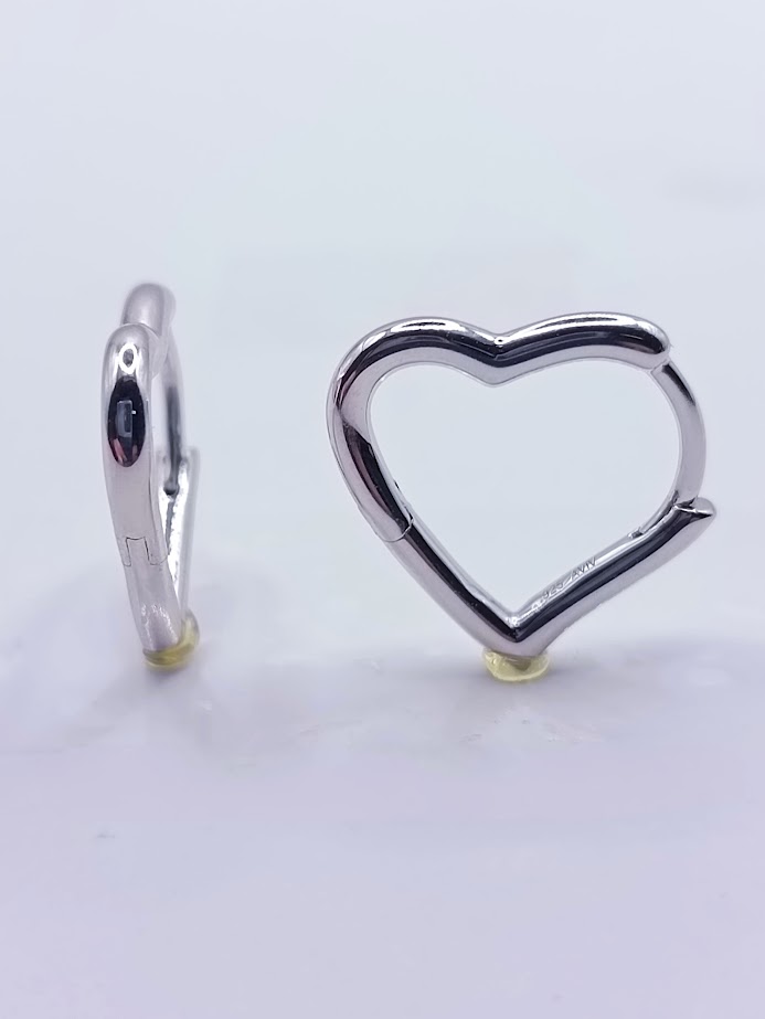 11040FESWSH1 Aro Plata
