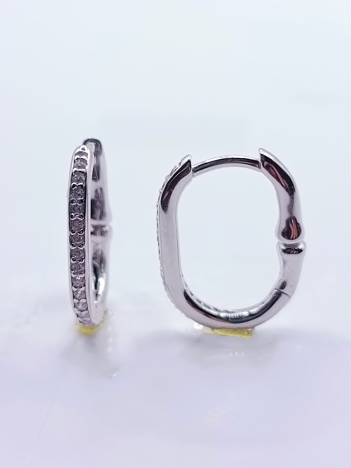 23282FESWSH1 Aro Plata Argolla 