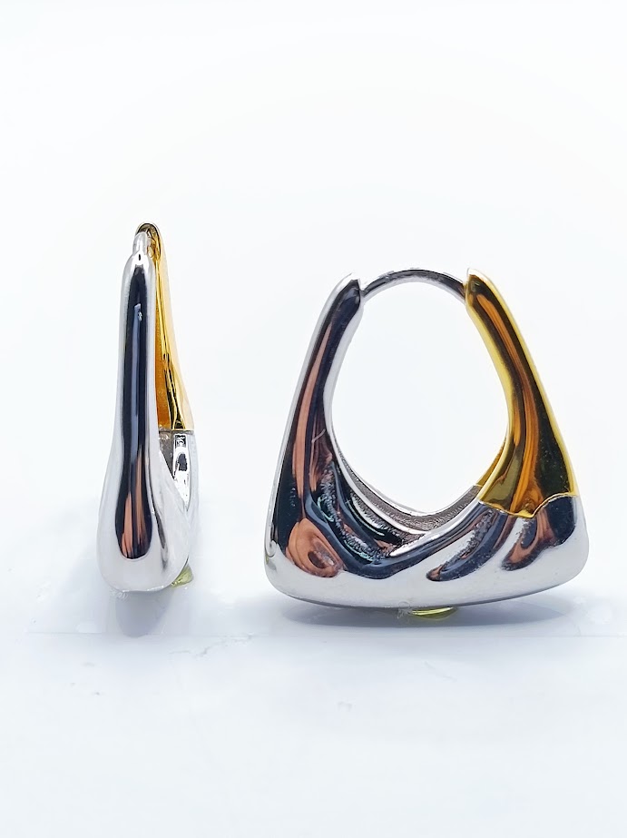 23770FESWSH2 Aro Plata Argolla