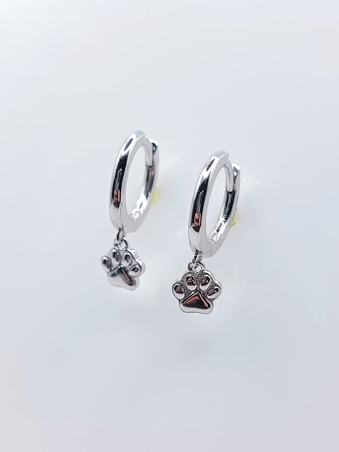 26624XESWSH1 Aro Plata Argolla 