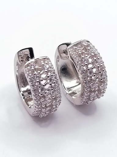 [202032075100] SE90755A1VI Aro Plata Argolla 