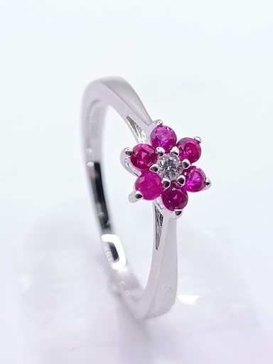R-1302 RR Anillo Plata Rubi