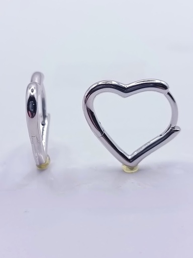 [2020510171005] 11040FESWSH1 Aro Plata