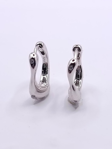 [2020511791004] 26936FESWSH1 Aro Plata Argolla irregular