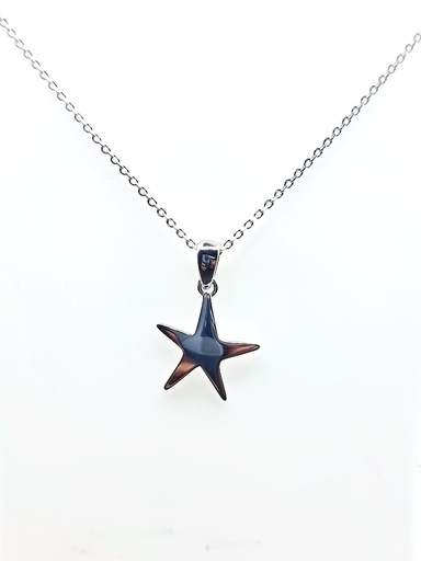 [2080523371458] 11995FNS1 Collar Plata Estrella